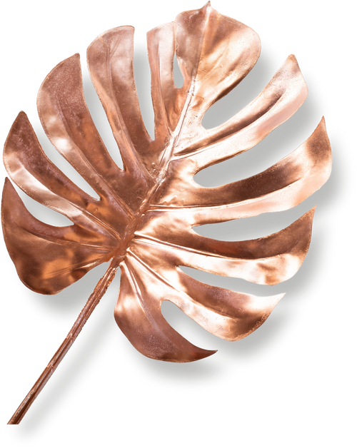 Isolated Rose Gold Leaf